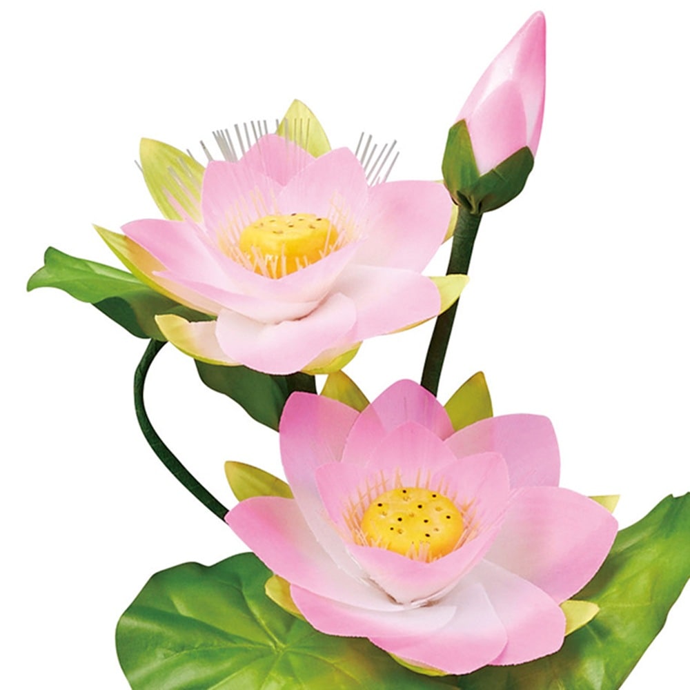 ������ ���� ���� ������� ����� �ߥ� ���礦���� �����ɥ�ߥʥ� STD �ߥ˥ϥ� ���� ����LED �ŵ������ɼ� �Ϻ� 2024