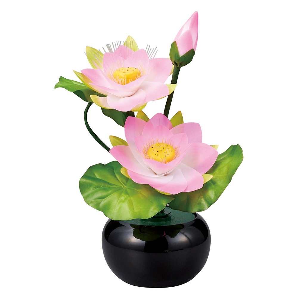 ������ ���� ���� ������� ����� �ߥ� ���礦���� �����ɥ�ߥʥ� STD �ߥ˥ϥ� ���� ����LED �ŵ������ɼ� �Ϻ� 2024