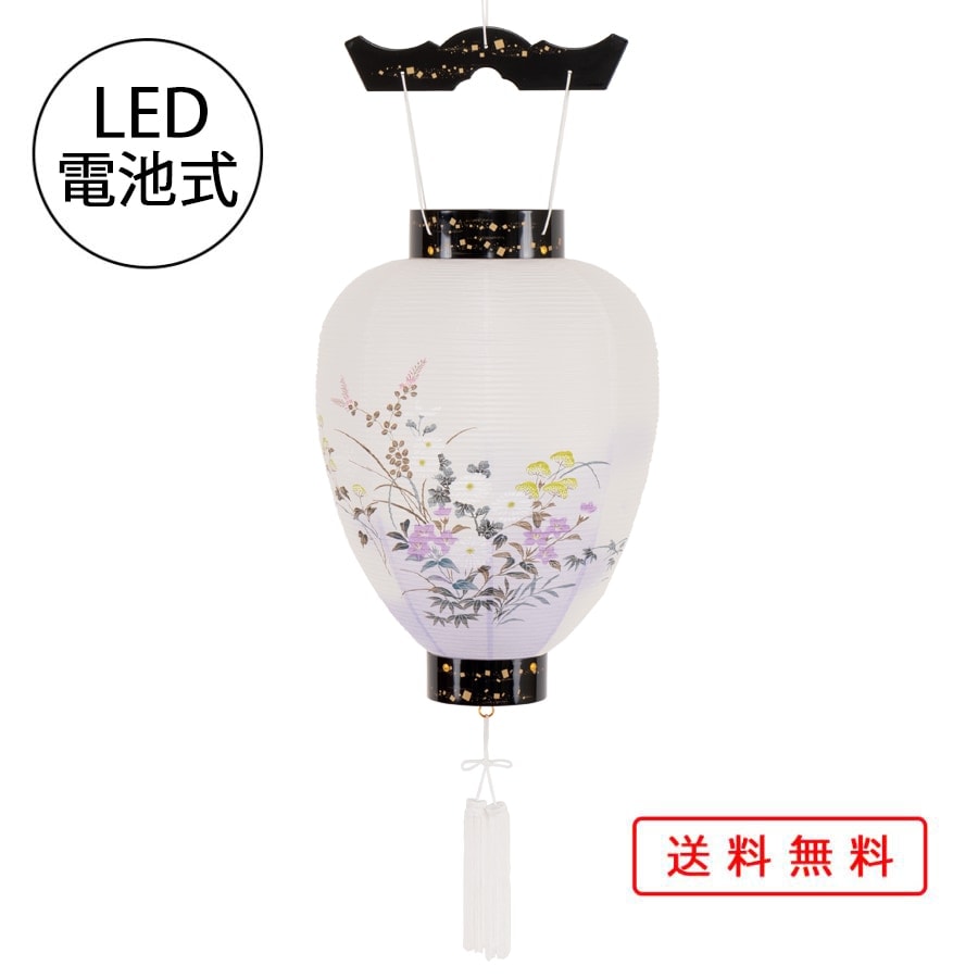  ѥ 礦   Ϻ   ץ饹å LED Ӽ ߥ 襤2025 ز