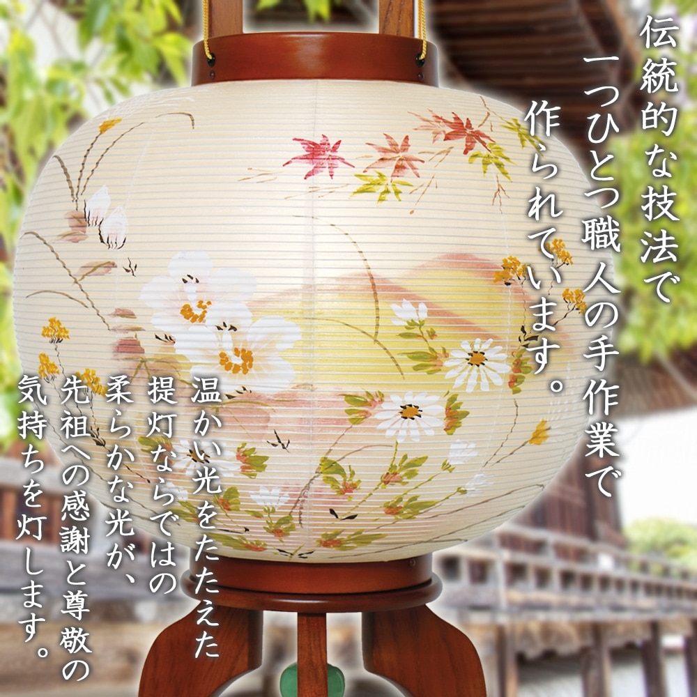  ѥ 礦   Ϻ   ץ饹å LED Ӽ ߥ 襤2025 ز