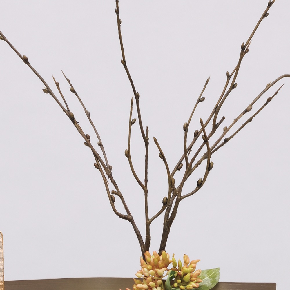 ���ͷ� ���ˤ� ���ܹ��� �콨 �Ҥʿͷ� �Ʋ��� 17�� ��������å��� ���� �֥饦�� ���襤�� ����ѥ��� �ߥ� ������ ������� �ޤ�� 2025 25-b-103-6