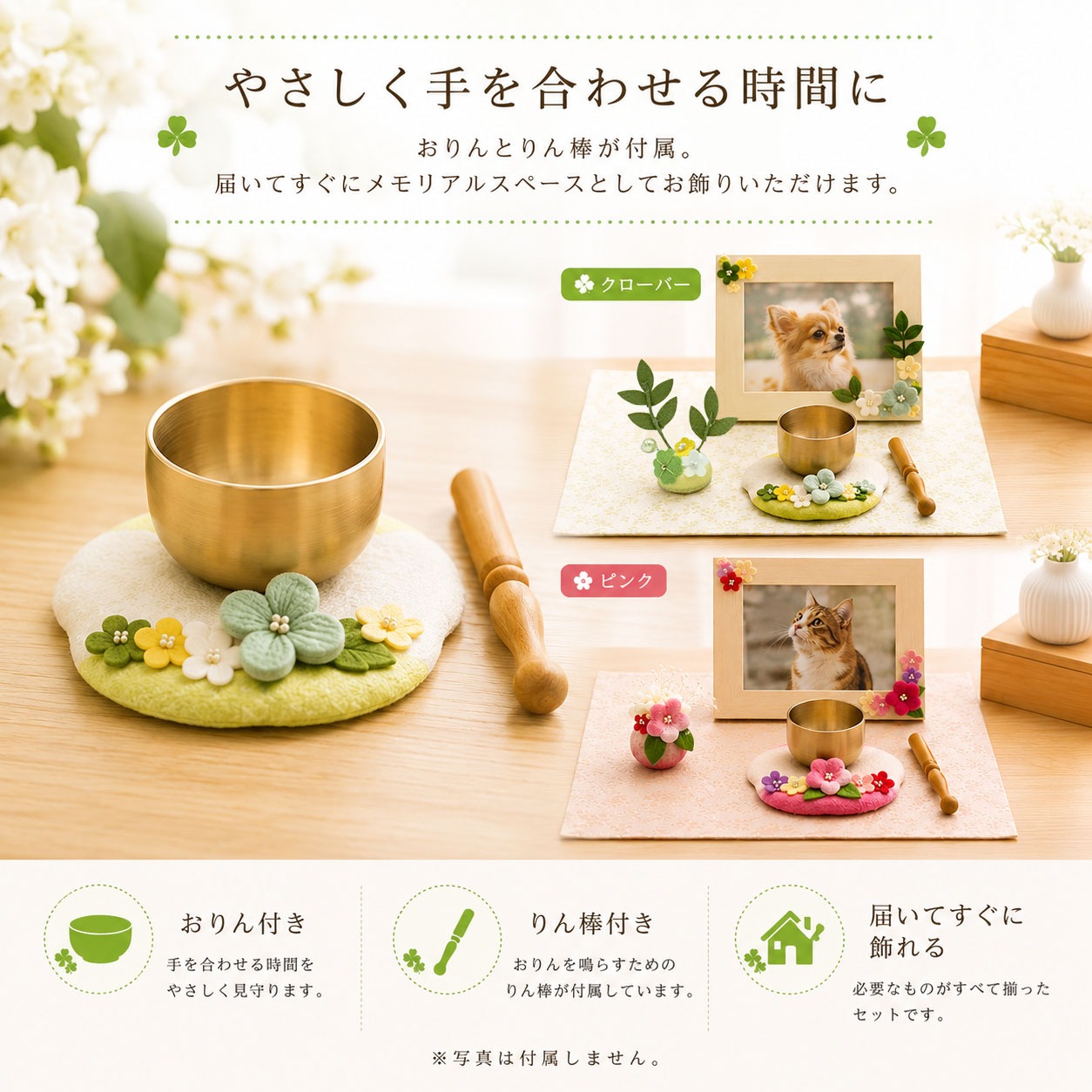 �ڥå�ʩ�� �ڥåȤ��� ���� ���ꥢ�� ���å� �̿�Ω�� ������դ� �� ������ ǭ ��ưʪ ���ꥢ�� ���� ����ѥ��� �������С� �ԥ� �ڥåȶ��� �긵����
