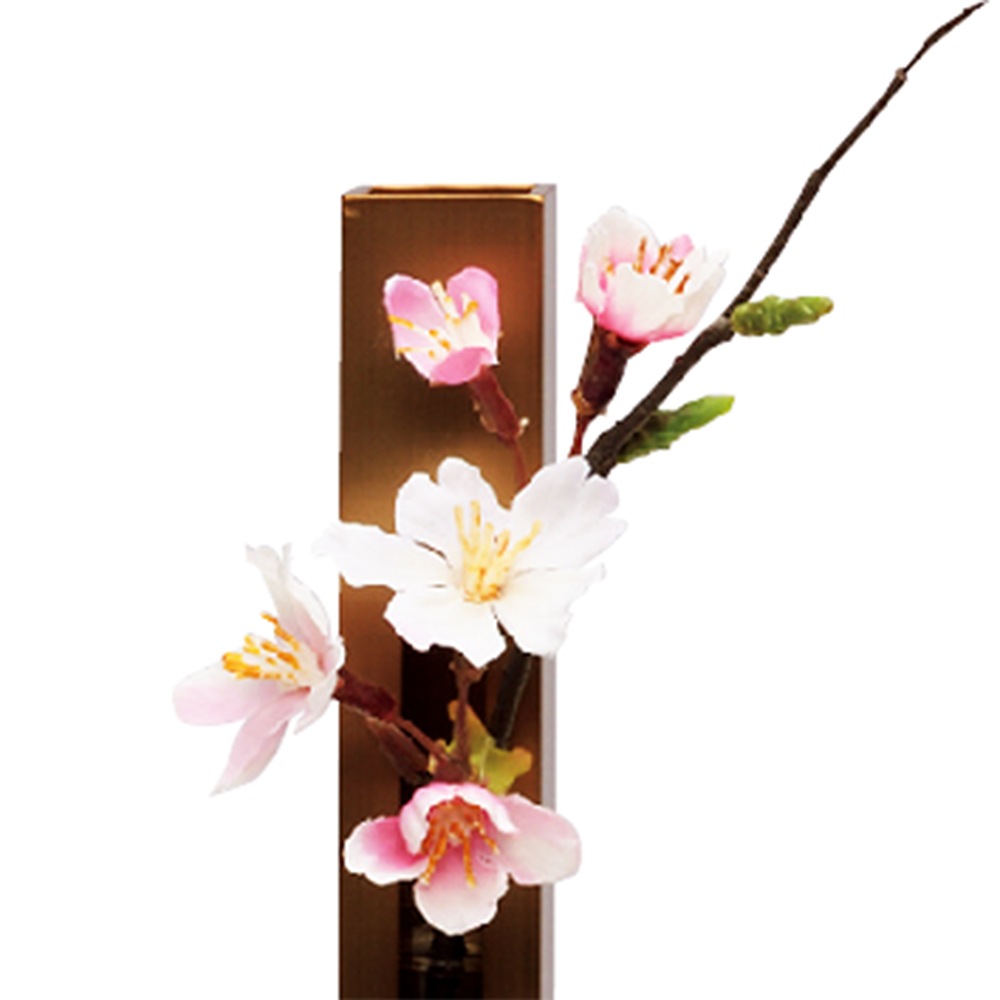 ���ͷ� ���ˤ� ���ܹ��� �콨 �Ҥʿͷ� �Ʋ����� ���� �֥饦�� 17�� ���襤�� ����ѥ��� ���ܹ� ������ ������� �İ��� �ޤ��
