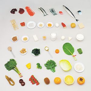 ���ܻ�Ƴ�� ���ʥ���ץ�ʥӥ��ߥ󡦥ߥͥ���¿���ޤ࿩�ʡ�