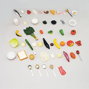 ���ܻ�Ƴ�� ���ʥ���ץ��6�Ĥδ��ÿ��ʷ���