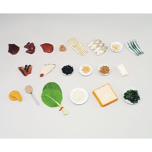 ���ܻ�Ƴ�� ���ʥ���ץ��Ŵʬ��¿���ޤ࿩�ʡ������