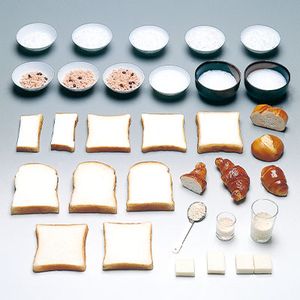 ���ܻ�Ƴ�� ���ʥ���ץ�ʹ����