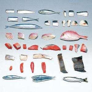 ���ܻ�Ƴ�� ���ʥ���ץ�ʵ������