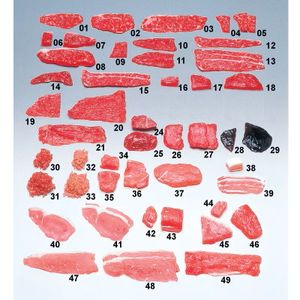 ���ܻ�Ƴ�� ���ʥ���ץ�������