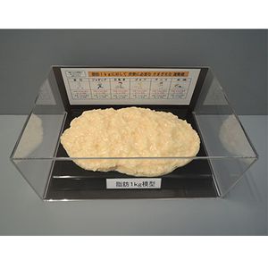 �����Ϸ� (�������դ�)