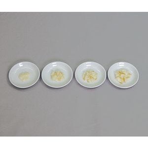 Υ����ȯã�ʳ��� ���ʥ���ץ����ȵ���