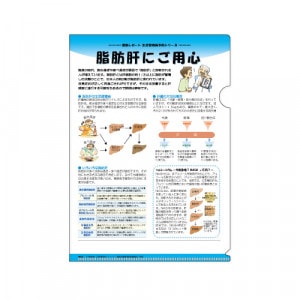 �ҥե����� No.42�ӻ��ôΤˤ��ѿ���