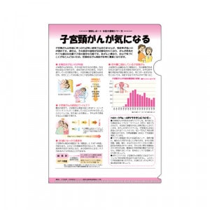 �ҥե����� No.55�ӻҵ������󤬵��ˤʤ롡