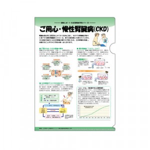 �ҥե����� No.79�Ӥ��ѿ���������¡��(CKD)��