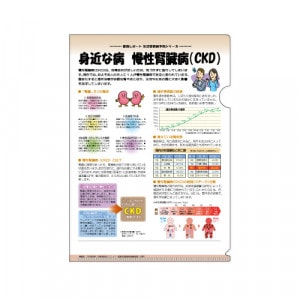 �ҥե����� No.105�ӿȶ���� ������¡��(CKD)��