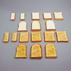 ���ѥ� ������̿��ʥ���ץ�