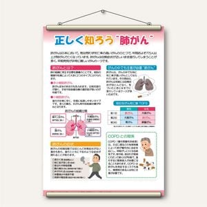 �ҥ��ڥ��ȥ꡼���������Τ������٤����