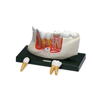 ���ι�¤�Ϸ� 