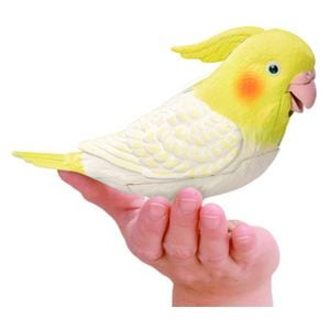 ��äȤ�����٤ꡡŷ�ͥ����ᥤ�󥳤����