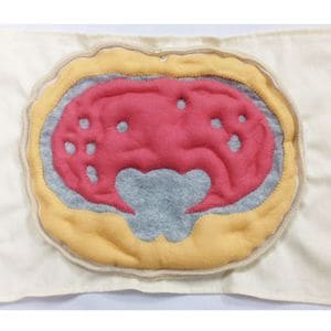 脂肪模型　3kg 楽天市場】体脂肪 模型 3kgの通販