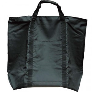 ĶBIG�ȡ��ȥʥ�����Хå�