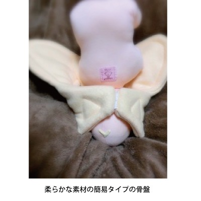 骨盤＋胎児人形～ 助産実習セットA