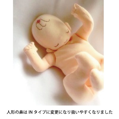 骨盤＋胎児人形～ 助産実習セットA