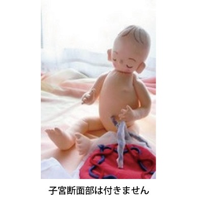 ハンドメイドの布製新生児人形 胎盤付き 44400-1-230x230.jpg