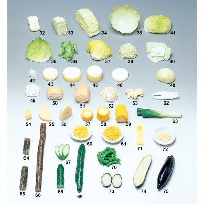 栄養指導用 食品サンプル（淡色野菜）