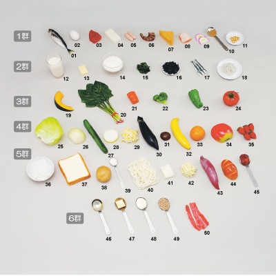 ダイエットサロン必見‼️お食事説明の時に役立つ食品サンプル 栄養指導用 食品サンプル（6つの基礎食品群）