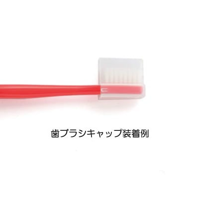 タフト24