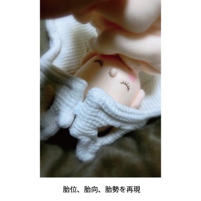 骨盤＋胎児人形～ 助産実習セットS