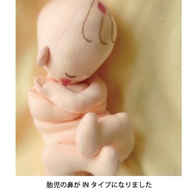 【助産師実習用】赤ちゃん人形と骨盤模型 両親教室や子育て支援講座での分娩教材用のセット 赤ちゃん人形の専門