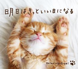 �����Ϥ��äȤ������ˤʤ� CD