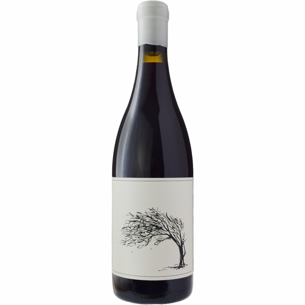 サヴェージ・ワインズ<br>ガール・ネクスト・ドア[2023]