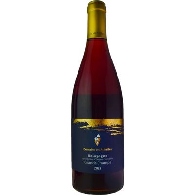 ルシアン・ル・モワンヌブルゴーニュ・ブラン[2022] | ワイン,色