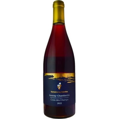 ティボー・リジェ・ベレールリシュブール[2022] | ワイン,産地から選ぶ