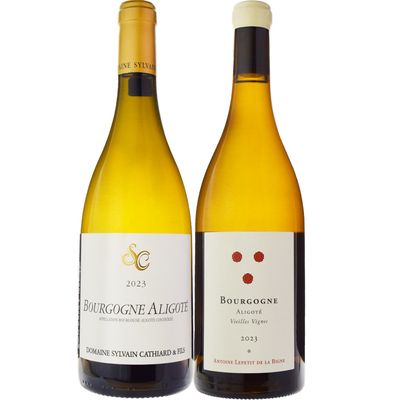 シャトー・モン・ペラ・ブラン [2021] | ワイン,価格から選ぶ,?2,500円