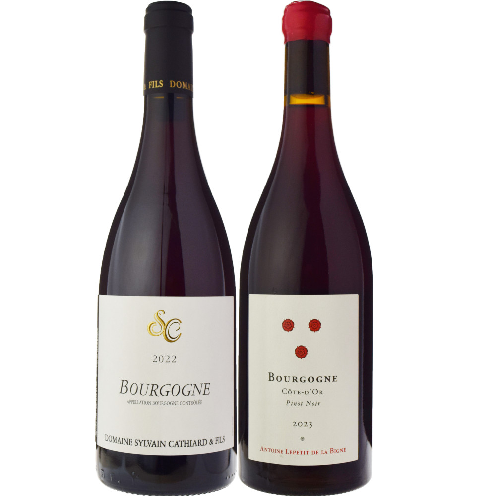 シルヴァン・カティアール<br>ブルゴーニュ・ルージュ[2022]＋<br>アントワーヌ・ルプティ・ド・ラ・ビーニュ<br>ブルゴーニュ・コート・ドール・ピノ・ノワール[2023] ワインセットD