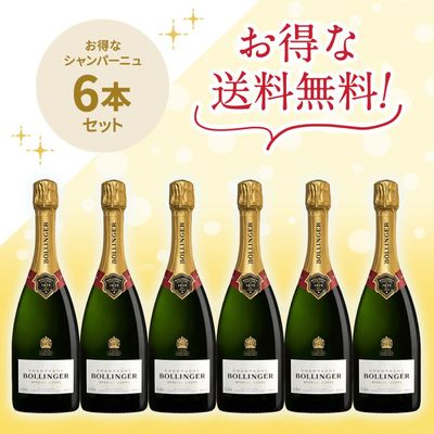 ボランジェ スペシャル・キュヴェ | ワイン,価格から選ぶ,5,001円