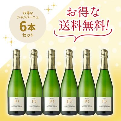 レベック・デュハンアドレ・ブリュット NV1500mlマグナムボトル