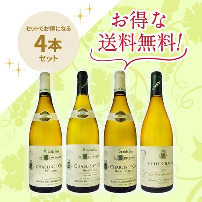 ドメーヌ・デュジャックモレ・サン・ドニ [2019] | ワイン,産地から