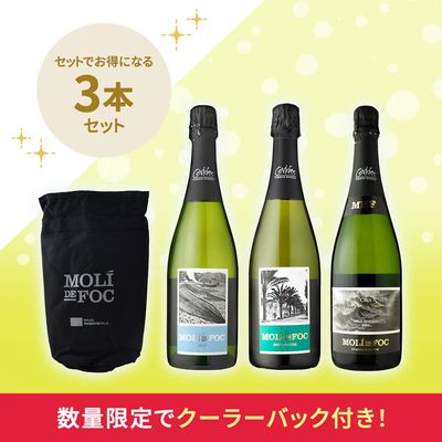 クリーンナチュラル稀少なルーシー・マルゴーを含む自然派ワインセット