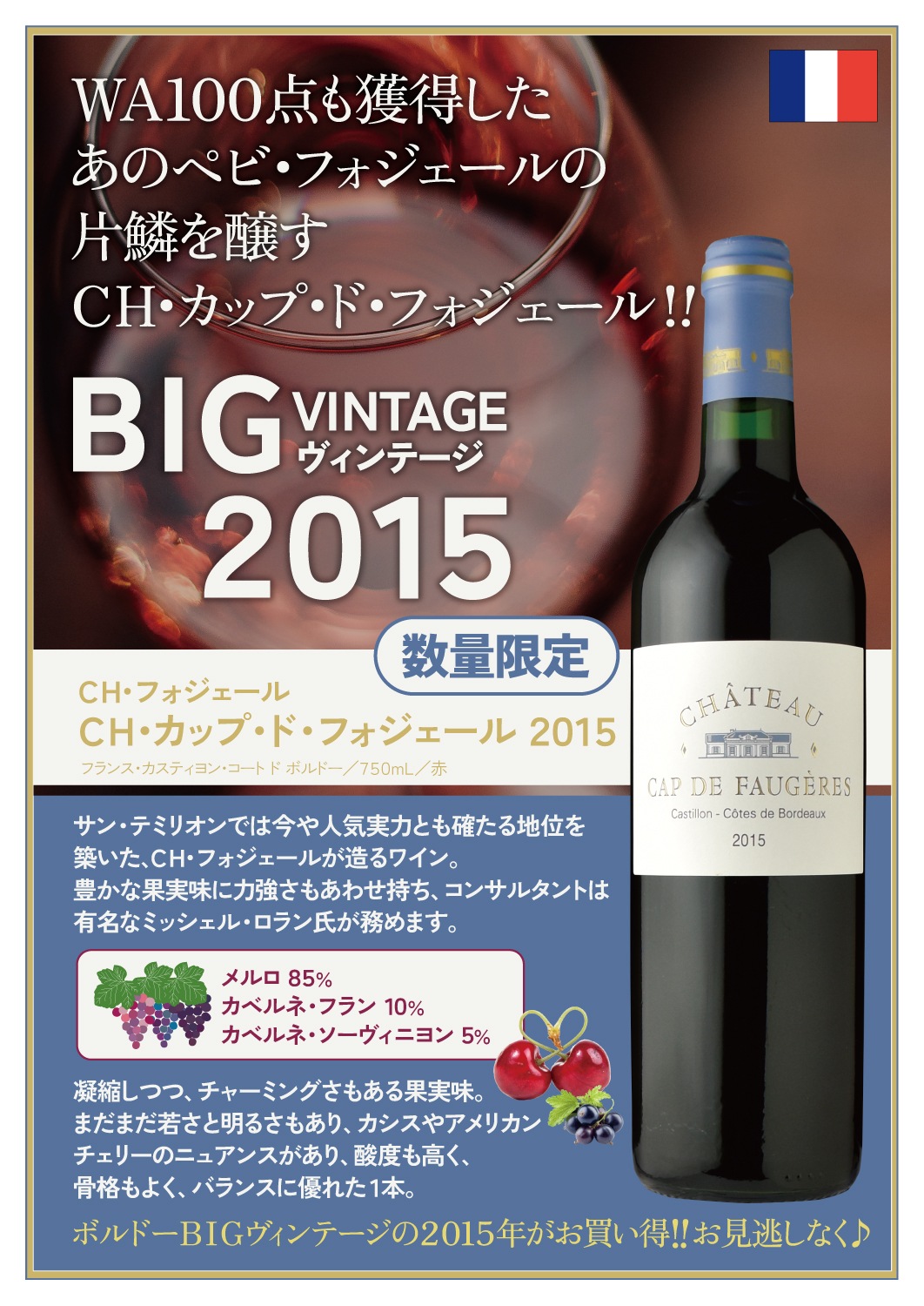 シャトー・カップ・ド・フォジェール [2015] | すべての商品 | 信濃屋