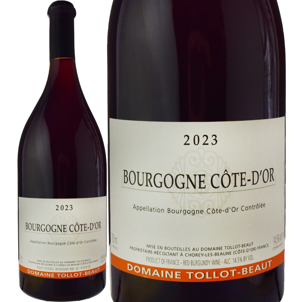 トロ・ボーブルゴーニュ・コート・ドール[2023] | ワイン,新商品