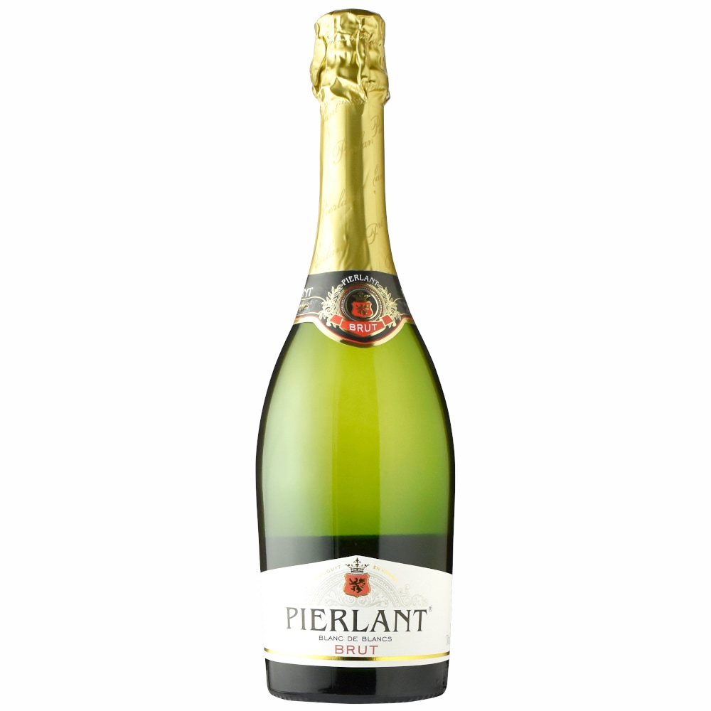 船長 ブセファランドラ１５種１５株、ボルビ、ピンナティフィダ７株計２２株 船長 ブセファランドラ15種15株、ボルビ、ピンナティフィダ7株計