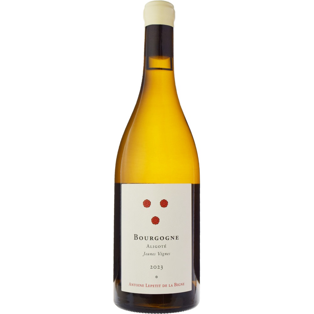 シルヴァン・カティアールブルゴーニュ・アリゴテ[2023]＋アントワーヌ