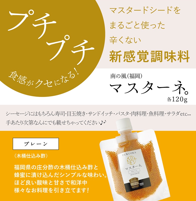 マスターネ プレーン（木桶仕込み酢）南の風【粒マスタード/振/30/食品