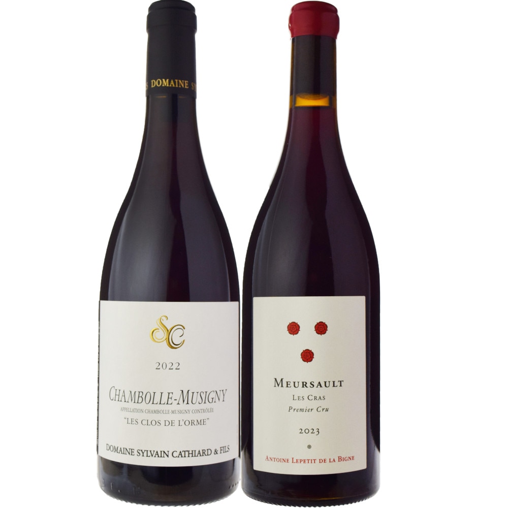 シルヴァン・カティアールシャンボール・ミュジニー・レ・クロ・デ