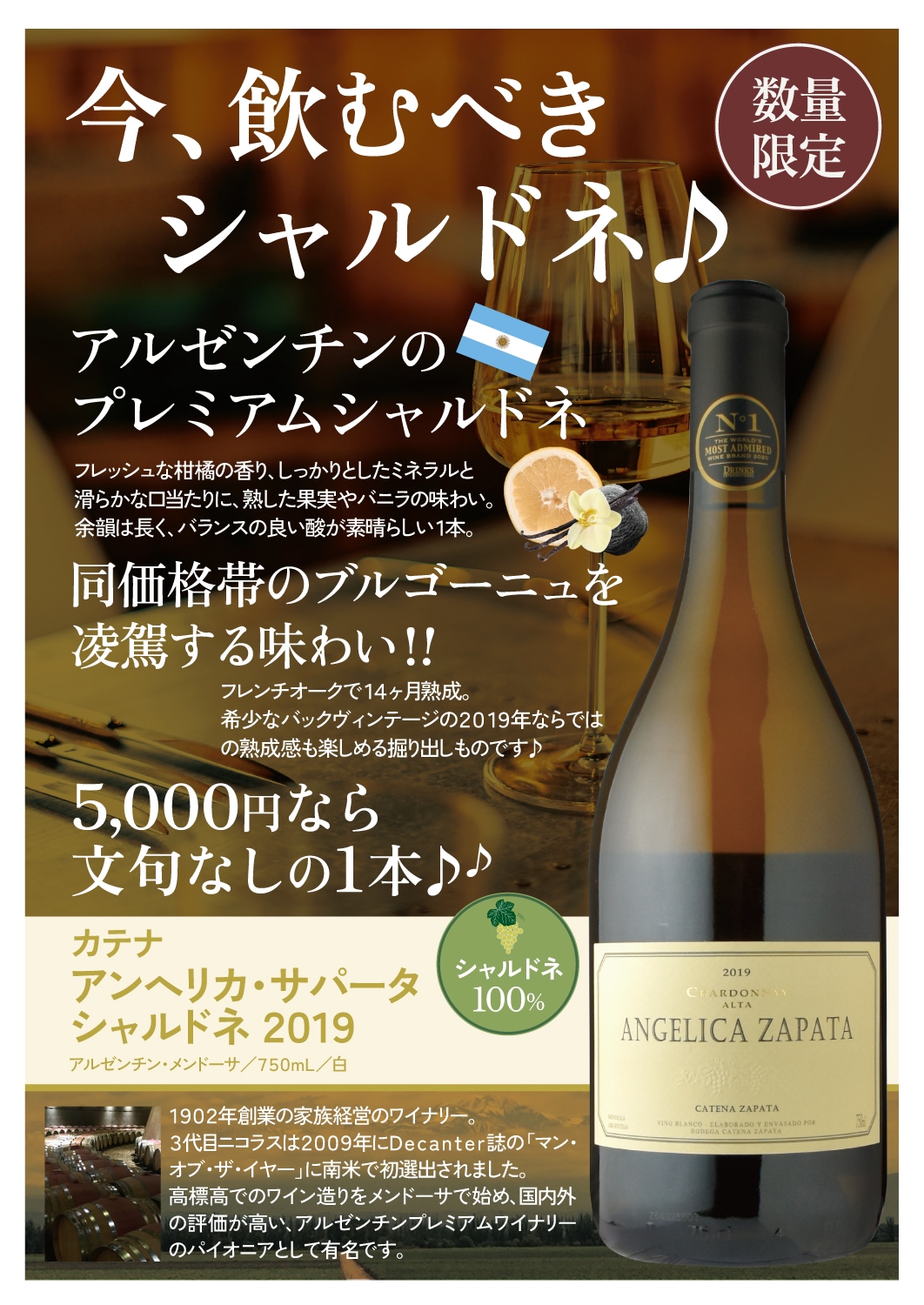 カテナアンヘリカ・サパータシャルドネ [2019] | ワイン,新商品 | 信濃